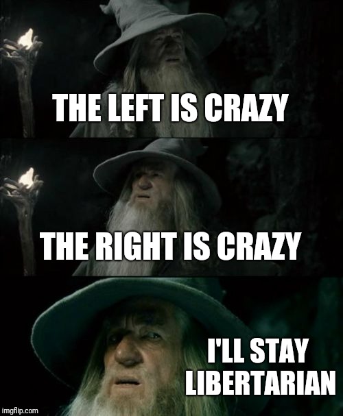 Confused Gandalf Meme | THE LEFT IS CRAZY; THE RIGHT IS CRAZY; I'LL STAY LIBERTARIAN | image tagged in memes,confused gandalf | made w/ Imgflip meme maker