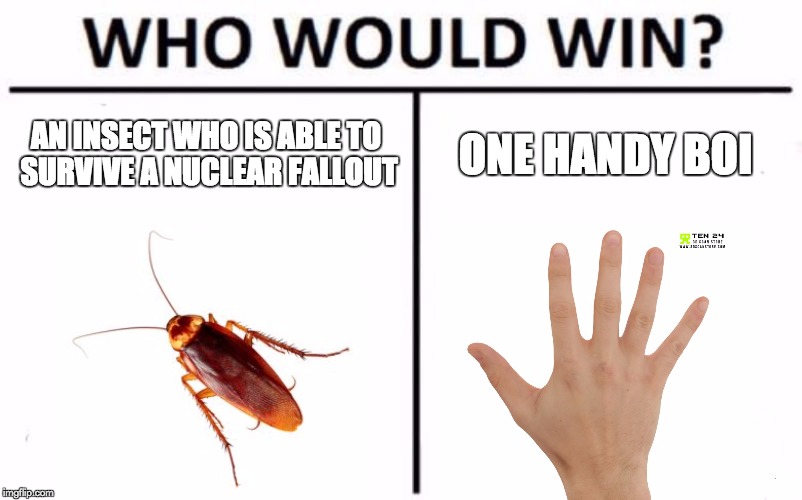 Who Would Win? Meme | AN INSECT WHO IS ABLE TO SURVIVE A NUCLEAR FALLOUT; ONE HANDY BOI | image tagged in memes,who would win | made w/ Imgflip meme maker