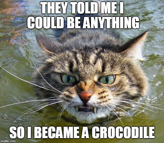 Follow Your Dreams | THEY TOLD ME I COULD BE ANYTHING; SO I BECAME A CROCODILE | image tagged in cat,dreams,crocodile | made w/ Imgflip meme maker