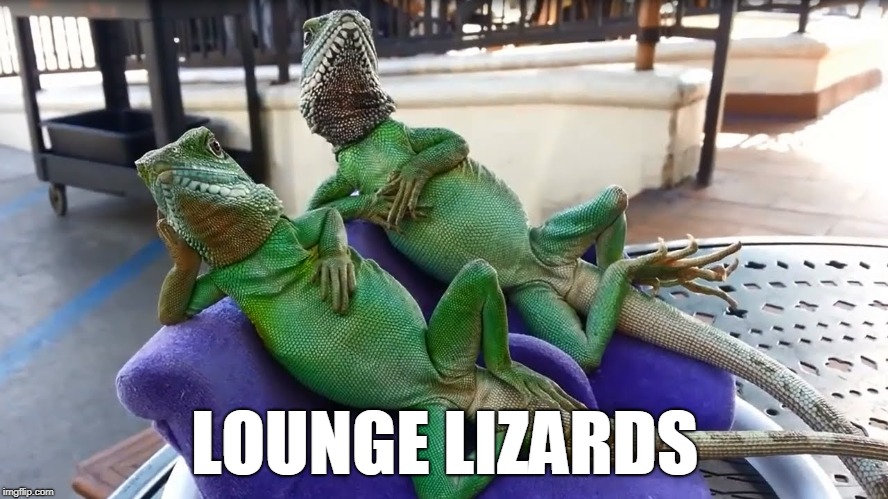 Chillin' |  LOUNGE LIZARDS | image tagged in lizards,lounge,chilln | made w/ Imgflip meme maker