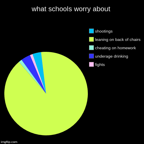 what schools worry about | fights, underage drinking , cheating on homework, leaning on back of chairs, shootings | image tagged in funny,pie charts | made w/ Imgflip chart maker