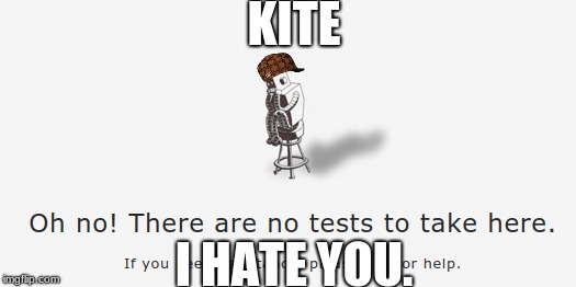 No Tests | KITE; I HATE YOU. | image tagged in kite,testing,i hate tests,i hate life,i hate you | made w/ Imgflip meme maker