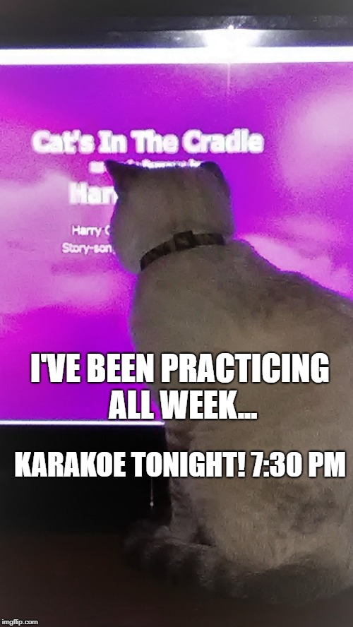 Karaoke Cat | I'VE BEEN PRACTICING ALL WEEK... KARAKOE TONIGHT! 7:30 PM | image tagged in karaoke cat | made w/ Imgflip meme maker