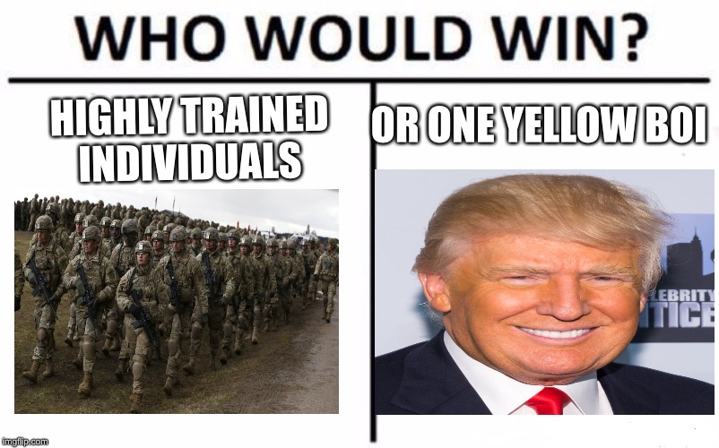Who Would Win? Meme | OR ONE YELLOW BOI; HIGHLY TRAINED INDIVIDUALS | image tagged in memes,who would win | made w/ Imgflip meme maker