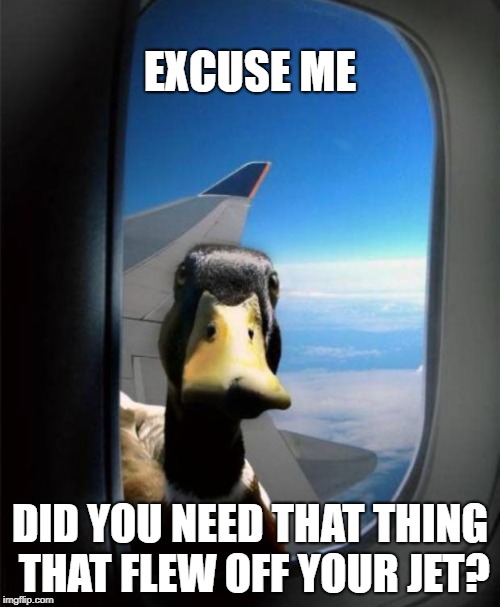 Duck on plane wing | EXCUSE ME; DID YOU NEED THAT THING THAT FLEW OFF YOUR JET? | image tagged in duck on plane wing | made w/ Imgflip meme maker
