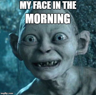 Gollum Meme | MORNING; MY FACE IN THE | image tagged in memes,gollum | made w/ Imgflip meme maker