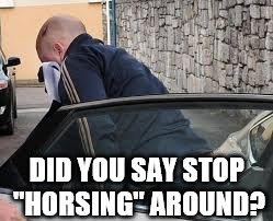 Tom "Horsey" O'Connor official meme #1 | DID YOU SAY STOP "HORSING" AROUND? | image tagged in tom,horsey,o'connor | made w/ Imgflip meme maker