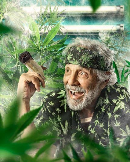 High Quality Chong cannabis Blank Meme Template