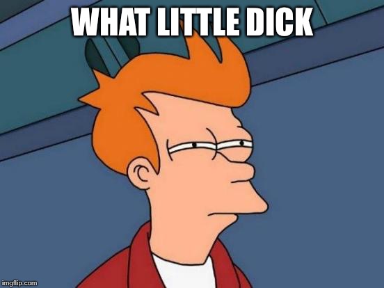 Futurama Fry Meme | WHAT LITTLE DICK | image tagged in memes,futurama fry | made w/ Imgflip meme maker