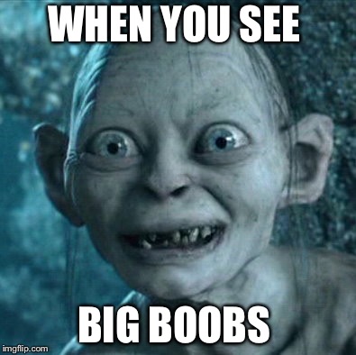 Gollum | WHEN YOU SEE; BIG BOOBS | image tagged in memes,gollum | made w/ Imgflip meme maker