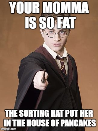 Harry Potter | YOUR MOMMA IS SO FAT; THE SORTING HAT PUT HER IN THE HOUSE OF PANCAKES | image tagged in harry potter | made w/ Imgflip meme maker