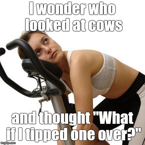 New Year's exercise resolution | I wonder who  looked at cows and thought "What if I tipped one over?" | image tagged in new year's exercise resolution | made w/ Imgflip meme maker