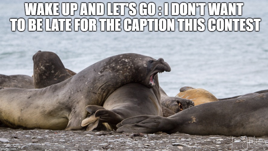 WAKE UP AND LET'S GO : I DON'T WANT TO BE LATE FOR THE CAPTION THIS CONTEST | made w/ Imgflip meme maker