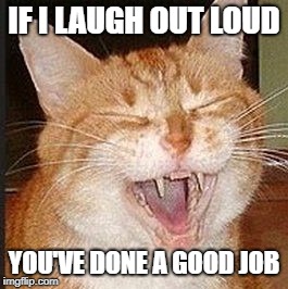 IF I LAUGH OUT LOUD YOU'VE DONE A GOOD JOB | made w/ Imgflip meme maker