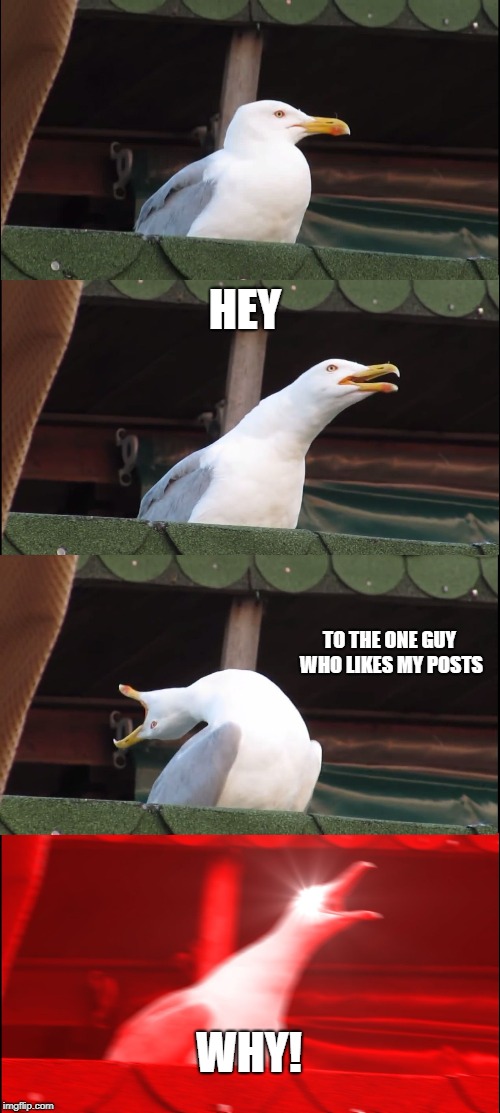 Inhaling Seagull Meme | HEY; TO THE ONE GUY WHO LIKES MY POSTS; WHY! | image tagged in memes,inhaling seagull | made w/ Imgflip meme maker