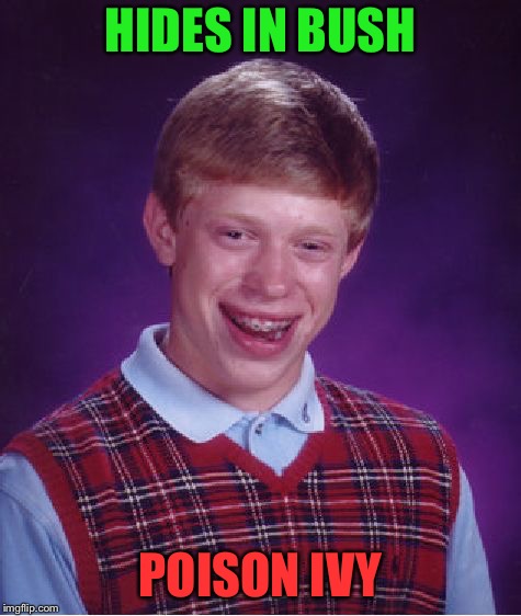 Bad Luck Brian Meme | HIDES IN BUSH POISON IVY | image tagged in memes,bad luck brian | made w/ Imgflip meme maker