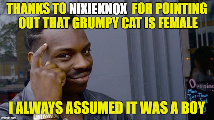 Roll Safe Think About It Meme | THANKS TO NIXIEKNOX  FOR POINTING OUT THAT GRUMPY CAT IS FEMALE I ALWAYS ASSUMED IT WAS A BOY NIXIEKNOX | image tagged in memes,roll safe think about it | made w/ Imgflip meme maker