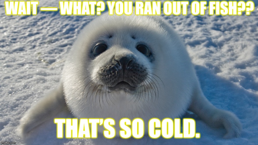 WAIT — WHAT? YOU RAN OUT OF FISH?? THAT’S SO COLD. | image tagged in seal,fish,meme,funny,hungry,cold | made w/ Imgflip meme maker