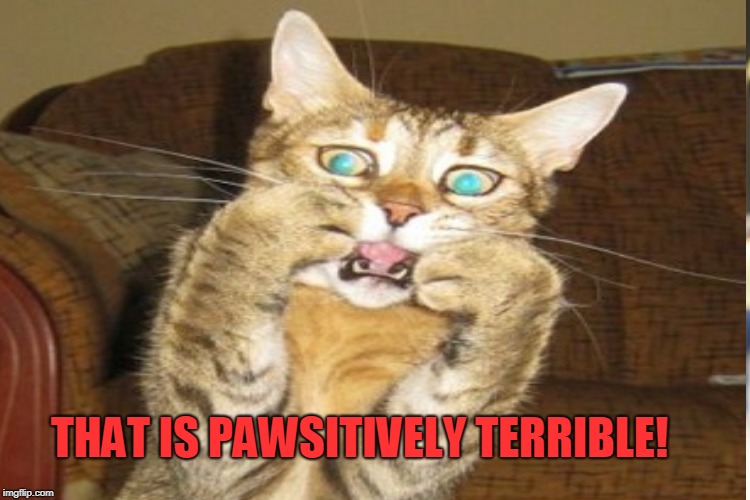 THAT IS PAWSITIVELY TERRIBLE! | made w/ Imgflip meme maker