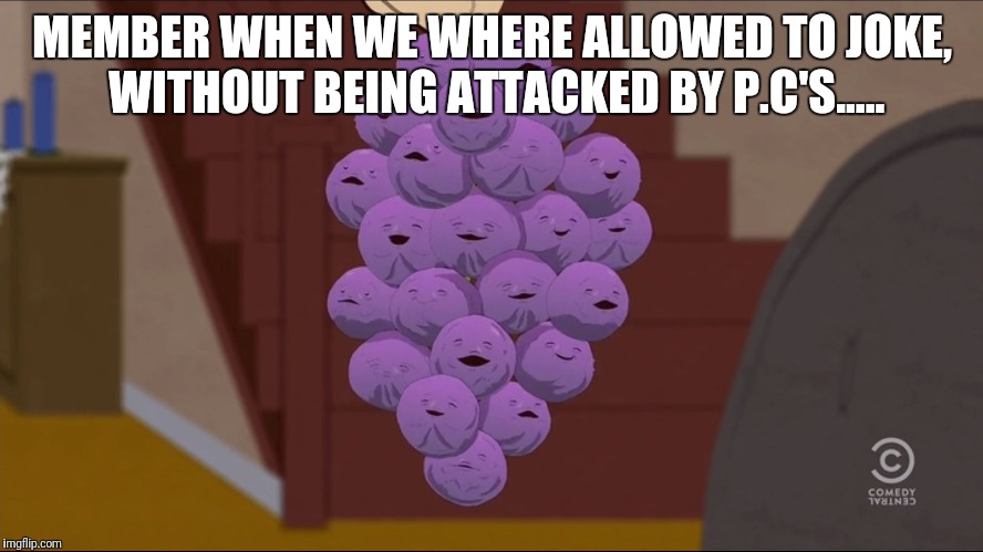 Member Berries | MEMBER WHEN WE WHERE ALLOWED TO JOKE, WITHOUT BEING ATTACKED BY P.C'S..... | image tagged in memes,member berries,member,political correctness,jokes,overly sensitive | made w/ Imgflip meme maker