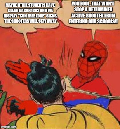 Spiderman Slapping Robin | YOU FOOL, THAT WON'T STOP A DETERMINED ACTIVE SHOOTER FROM ENTERING OUR SCHOOLS!! MAYBE IF THE STUDENTS HAVE CLEAR BACKPACKS AND WE DISPLAY "GUN FREE ZONE" SIGNS, THE SHOOTERS WILL STAY AWAY | image tagged in spiderman slapping robin | made w/ Imgflip meme maker