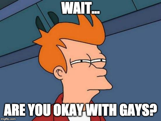 Futurama Fry Meme | WAIT... ARE YOU OKAY WITH GAYS? | image tagged in memes,futurama fry | made w/ Imgflip meme maker