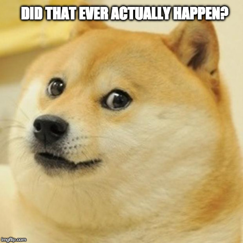 Doge Meme | DID THAT EVER ACTUALLY HAPPEN? | image tagged in memes,doge | made w/ Imgflip meme maker