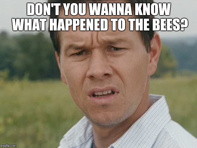 Huh  | DON'T YOU WANNA KNOW WHAT HAPPENED TO THE BEES? | image tagged in huh,bees,meme,memes,funny,humor | made w/ Imgflip meme maker