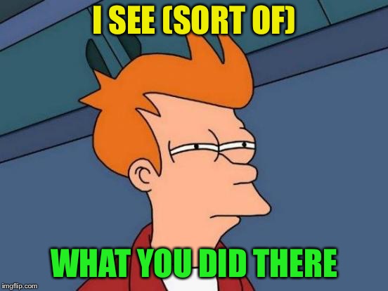 Futurama Fry Meme | I SEE (SORT OF) WHAT YOU DID THERE | image tagged in memes,futurama fry | made w/ Imgflip meme maker