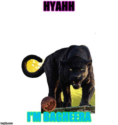 Bagheera | HYAHH; I'M BAGHEERA | image tagged in ythe jungle,black panther | made w/ Imgflip meme maker