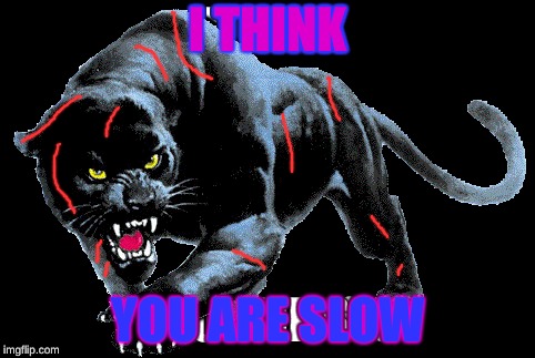 Slow | I THINK; YOU ARE SLOW | image tagged in animals,batman slapping robin | made w/ Imgflip meme maker