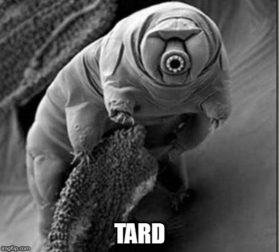 They're immortal | TARD | image tagged in memes,tardigrade | made w/ Imgflip meme maker