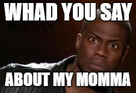 Kevin Hart Meme | WHAD YOU SAY; ABOUT MY MOMMA | image tagged in memes,kevin hart the hell | made w/ Imgflip meme maker
