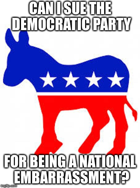 Democrat donkey |  CAN I SUE THE DEMOCRATIC PARTY; FOR BEING A NATIONAL EMBARRASSMENT? | image tagged in democrat donkey | made w/ Imgflip meme maker
