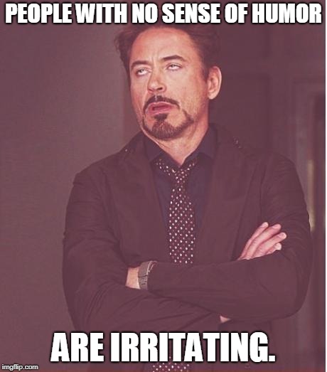 Face You Make Robert Downey Jr Meme | PEOPLE WITH NO SENSE OF HUMOR ARE IRRITATING. | image tagged in memes,face you make robert downey jr | made w/ Imgflip meme maker