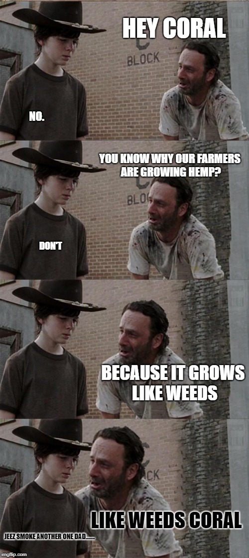 Rick and Carl Long | HEY CORAL; NO. YOU KNOW WHY OUR FARMERS ARE GROWING HEMP? DON'T; BECAUSE IT GROWS LIKE WEEDS; LIKE WEEDS CORAL; JEEZ SMOKE ANOTHER ONE DAD....... | image tagged in memes,rick and carl long | made w/ Imgflip meme maker