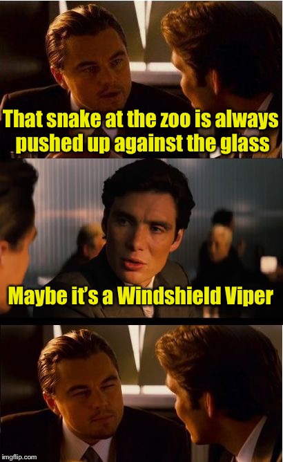 Bad snake pun | That snake at the zoo is always pushed up against the glass; Maybe it’s a Windshield Viper | image tagged in memes,inception,snake,viper | made w/ Imgflip meme maker