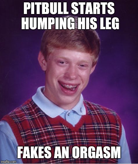 Bad Dog! | PITBULL STARTS HUMPING HIS LEG; FAKES AN ORGASM | image tagged in memes,bad luck brian | made w/ Imgflip meme maker