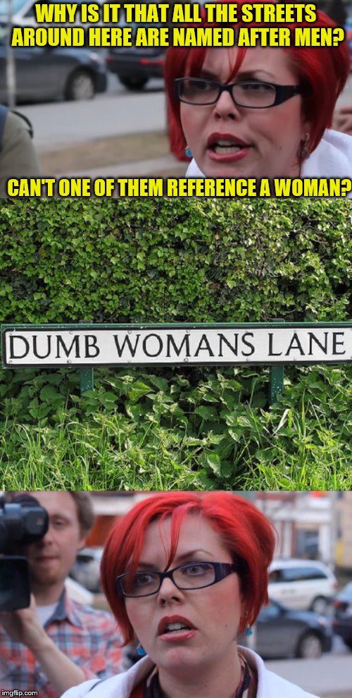 And who thought it was a good idea to name a road this way? | WHY IS IT THAT ALL THE STREETS AROUND HERE ARE NAMED AFTER MEN? CAN'T ONE OF THEM REFERENCE A WOMAN? | image tagged in memes,triggered feminist,dumb womans lane | made w/ Imgflip meme maker