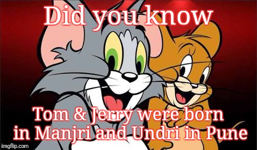 Tom and Jerry | Did you know; Tom & Jerry were born in Manjri and Undri in Pune | image tagged in tom and jerry | made w/ Imgflip meme maker