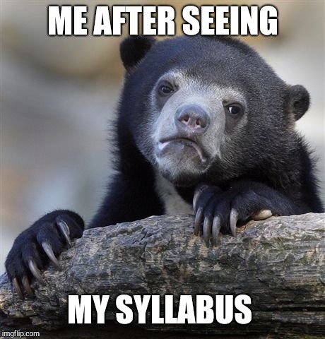 Confession Bear | ME AFTER SEEING; MY SYLLABUS | image tagged in memes,confession bear | made w/ Imgflip meme maker