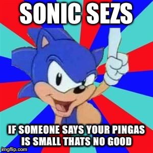 Sonic sez | SONIC SEZS; IF SOMEONE SAYS YOUR PINGAS IS SMALL
THATS NO GOOD | image tagged in sonic sez | made w/ Imgflip meme maker