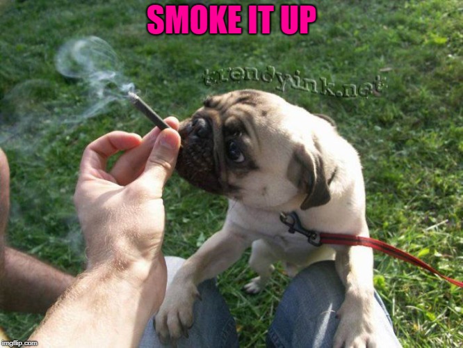 SMOKE IT UP | made w/ Imgflip meme maker