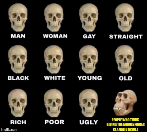 man woman gay straight skull | PEOPLE WHO THINK GIVING THE MIDDLE FINGER IS A VALID INSULT | image tagged in man woman gay straight skull,middle finger,insult,memes,powermetalhead,funny | made w/ Imgflip meme maker