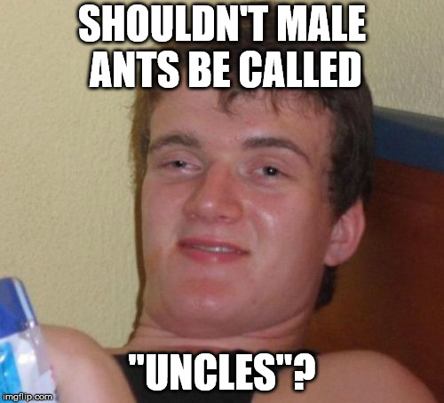 10 Guy Meme | SHOULDN'T MALE ANTS BE CALLED; "UNCLES"? | image tagged in memes,10 guy | made w/ Imgflip meme maker