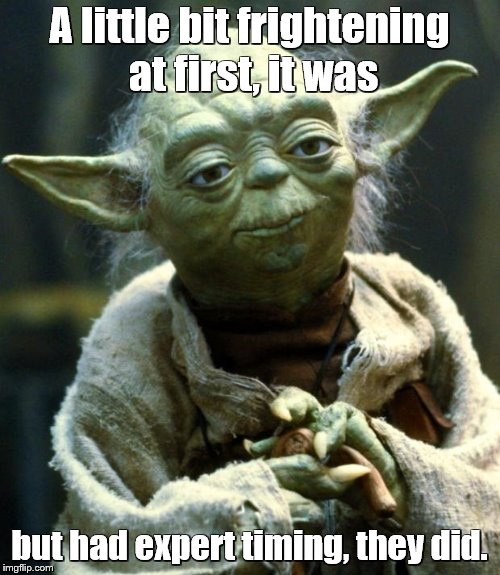 Star Wars Yoda Meme | A little bit frightening at first, it was but had expert timing, they did. | image tagged in memes,star wars yoda | made w/ Imgflip meme maker