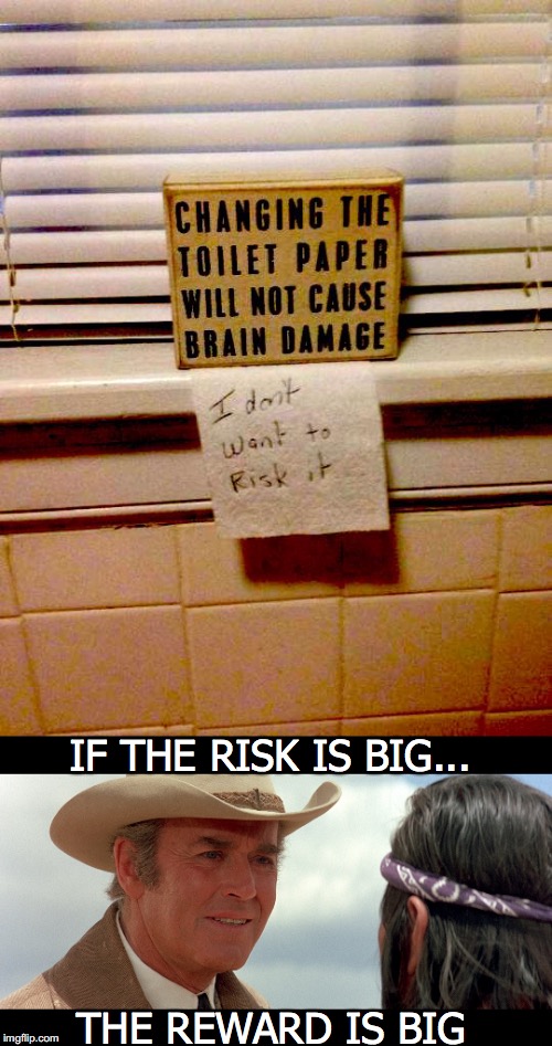 Risky Business | IF THE RISK IS BIG... THE REWARD IS BIG | image tagged in toilet humor,risk | made w/ Imgflip meme maker