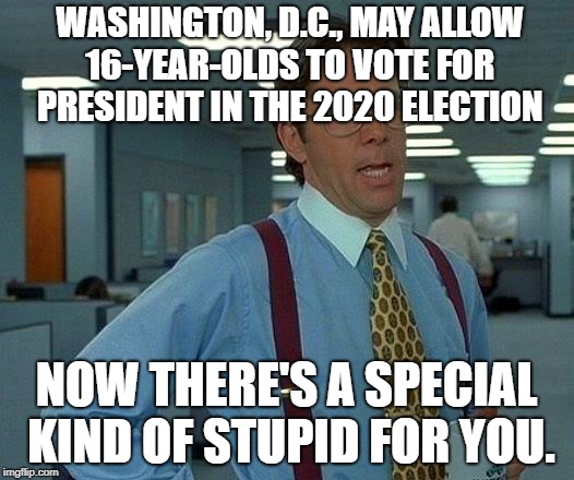 That Would Be Great | WASHINGTON, D.C., MAY ALLOW 16-YEAR-OLDS TO VOTE FOR PRESIDENT IN THE 2020 ELECTION; NOW THERE'S A SPECIAL KIND OF STUPID FOR YOU. | image tagged in memes,that would be great | made w/ Imgflip meme maker