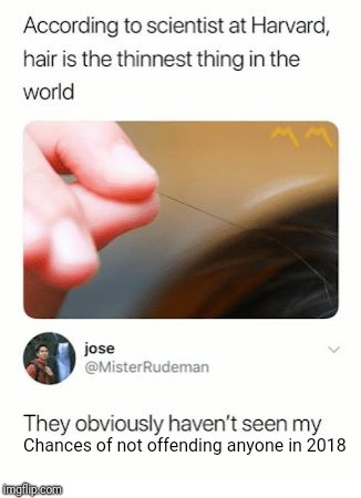 Thinnest Thing in the World |  Chances of not offending anyone in 2018 | image tagged in thinnest thing in the world,memes | made w/ Imgflip meme maker