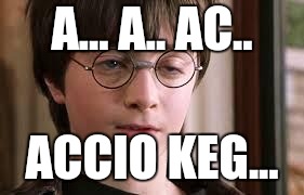 Harry Potter Stoned | A... A.. AC.. ACCIO KEG... | image tagged in harry potter stoned | made w/ Imgflip meme maker